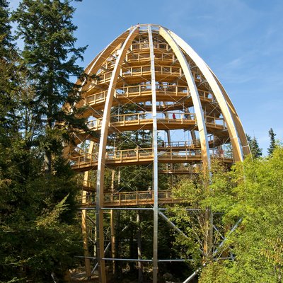 [Translate to Englisch:] Baumturm Neuschönau