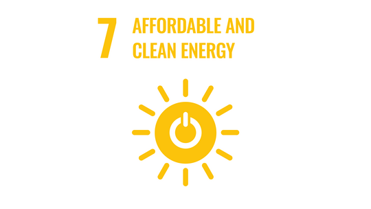 Sustainable Development Goals