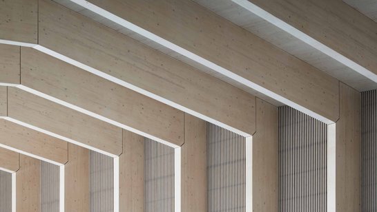 [Translate to Englisch:] Freemen’s School Pool gelöst mit WIEHAG Rahmeneck