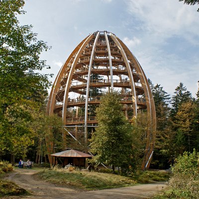 Baumturm Neuschönau