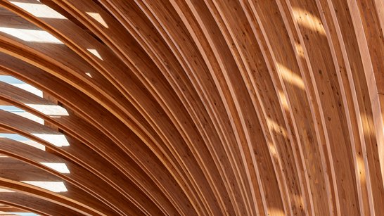 Shaare Zedek Medical Center Holzkonstruktion