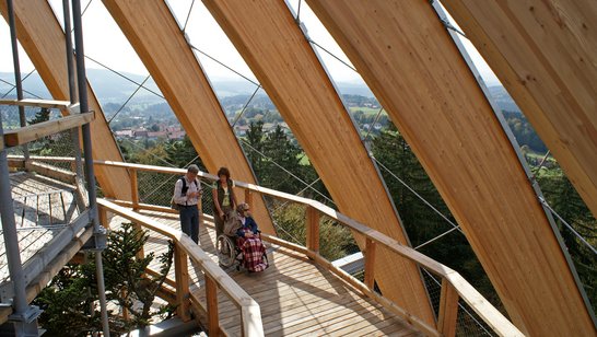 Baumturm Neuschönau 