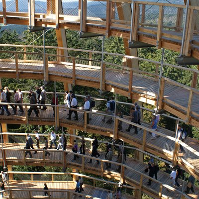 [Translate to Englisch:] Baumturm Neuschönau