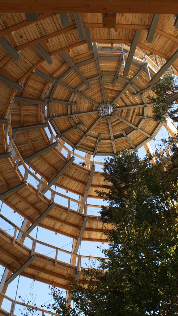 Baumturm Neuschönau