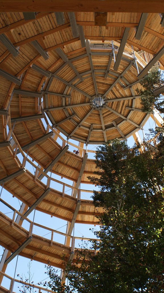 Baumturm Neuschönau