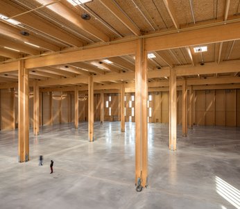 Roof and wall panels