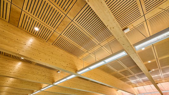 Holzdecke im Eton School Pool