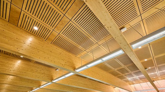 Holzdecke im Eton School Pool