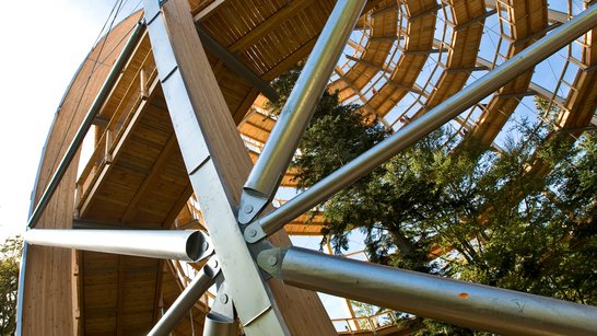 [Translate to Englisch:] Baumturm Neuschönau