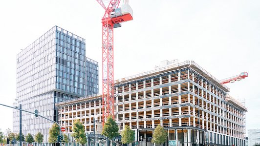 Montage Timber Pioneer