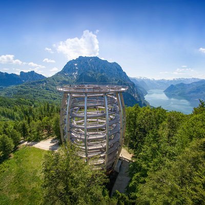 Baumturm am Grünberg