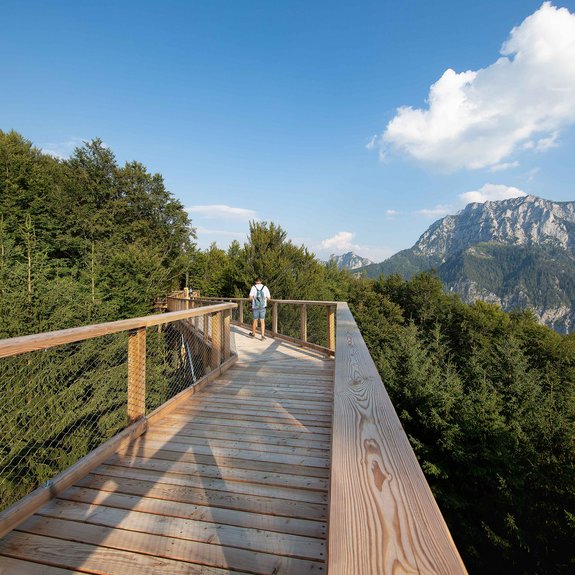 Baumwipfelpfad am Grünberg