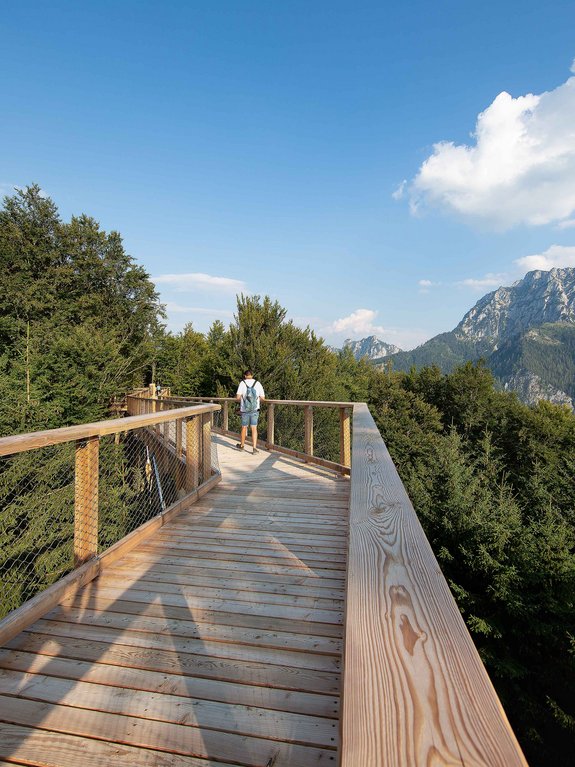 Baumwipfelpfad am Grünberg