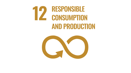 Sustainable Development Goals